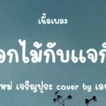เนื้อเพลงโดย ใหม่ เจริญปุระ ดอกไม้กับแจกัน